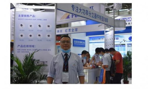 飛虹副總經理江波 深耕發(fā)展大功率分立器件